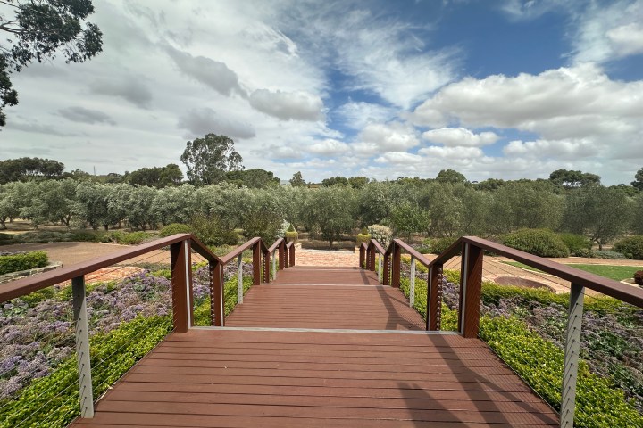 Wooden walkway with railing leading to garden with trees and cloudy sky.
