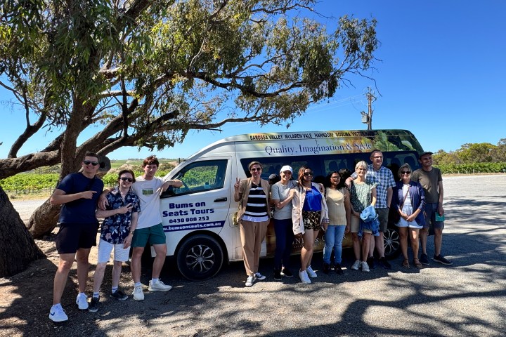 Group of people posing by a tour van under a tree in a sunny outdoor setting.