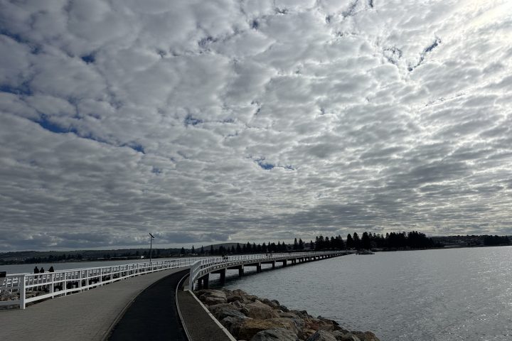 Boardwalk over water with cloudy sky and distant trees on a shoreline.
