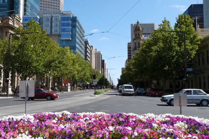 Urban street with colorful flowers, cars, tall buildings, and trees.