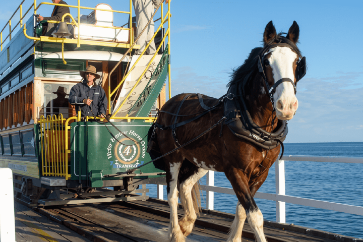 Horse-drawn tram crossing a pier with people onboard.