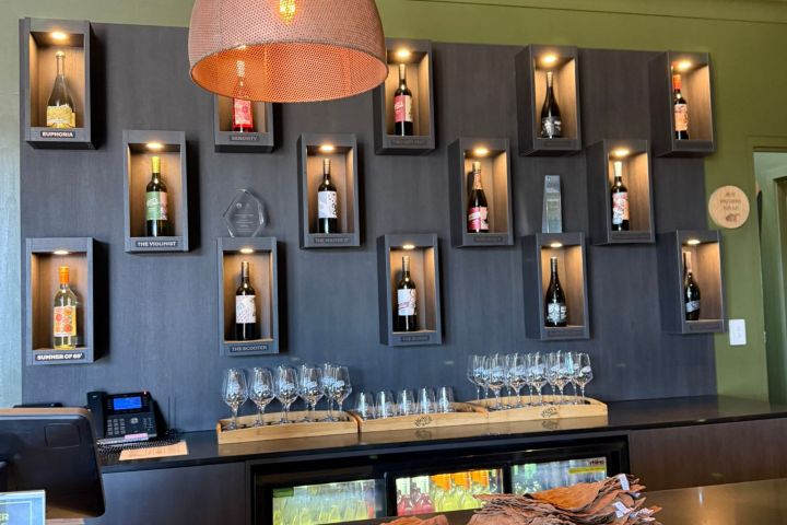 Bar counter with wine bottles displayed on wall shelves and a large pendant light overhead.