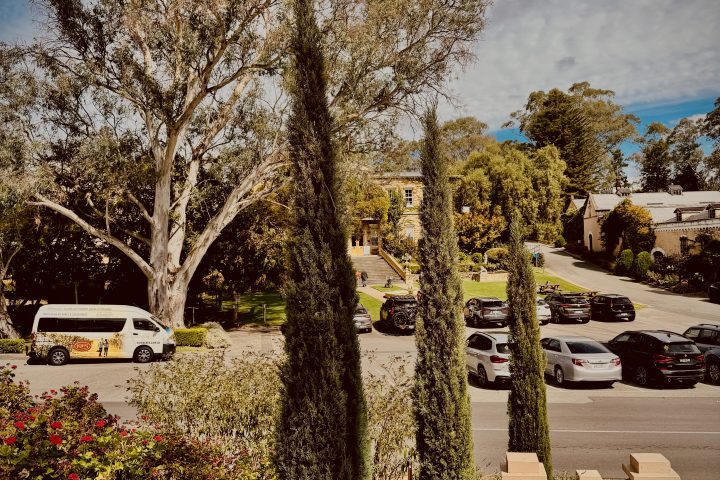 Suburban street with trees, parked cars, and a white van under a cloudy sky.