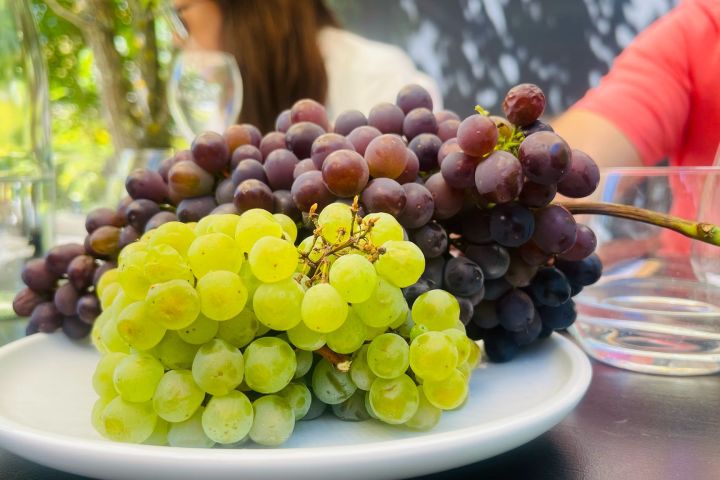 Plate with green and red grapes on a table with blurred background.