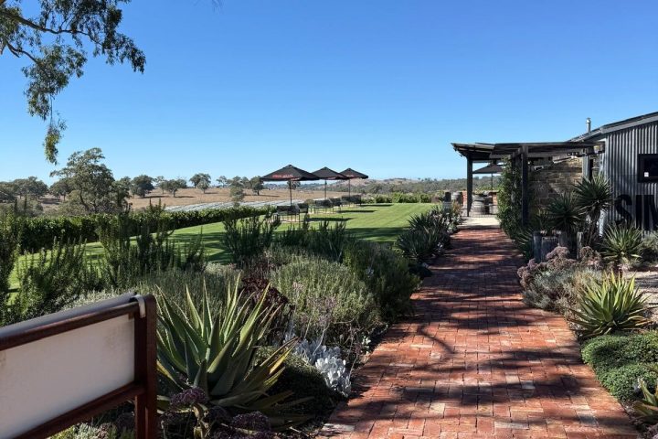 Brick path surrounded by greenery leading to open field with clear blue sky.