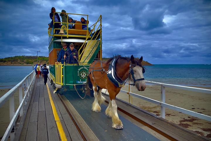 Horse-drawn tram on a pier over the ocean under a cloudy sky.