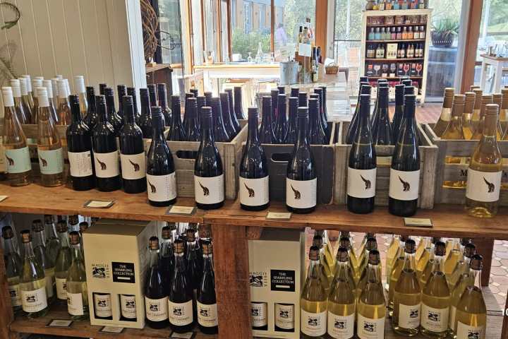 Wine bottles displayed on wooden shelves in a store with large windows.