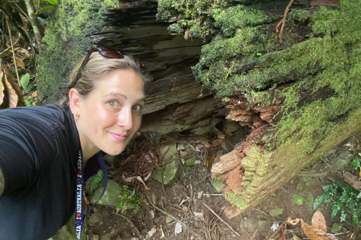 a person standing next to a forest