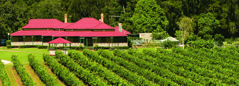 Canungra Valley Vineyards