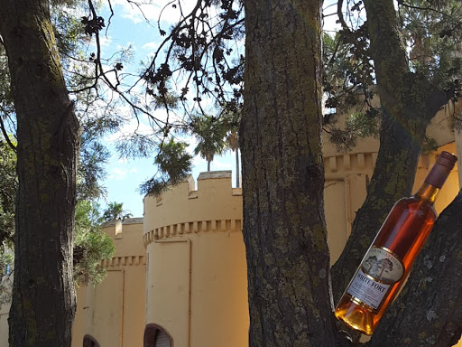 Chateau Dorrien