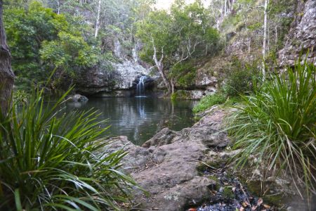 a river surrounded by trees