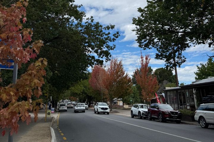 Street with cars and trees, cloudy sky with patches of blue.