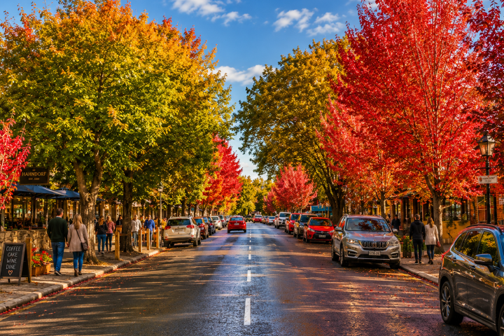 Street lined with colorful autumn trees and parked cars under a blue sky.