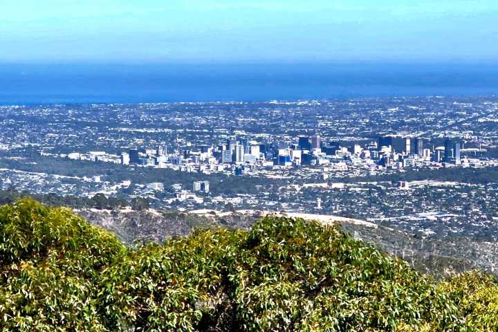 City skyline with ocean in background viewed from a hill with trees in the foreground.