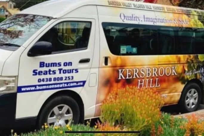 a car parked in the grass