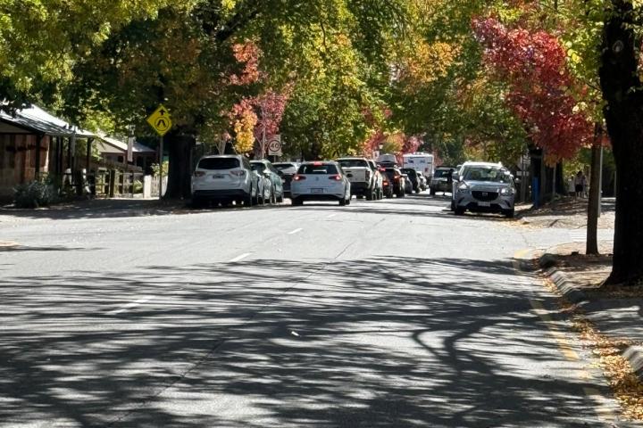 Street lined with colorful autumn trees and parked cars under sunny sky.