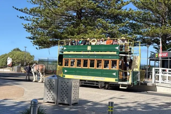 Green tram under tall trees on a sunny day with cobblestone path in foreground.